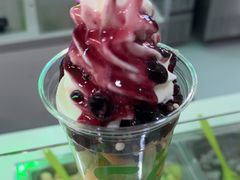 -Salud撒露欧洲冻酸奶(五道口购物中心店)
