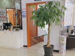 -茂菊口腔连锁(浦东南路店)