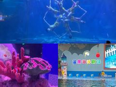 -蓬莱欧乐堡海洋极地世界