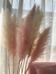 -Beauty Nails 美甲美睫皮肤管理