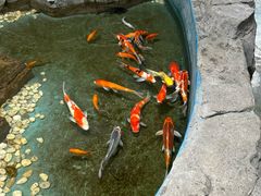 -嘉兴海底世界