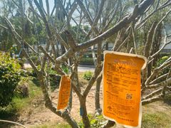 -中山大学附属第五医院