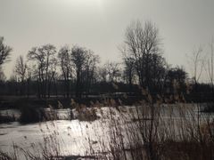-潇河湿地公园