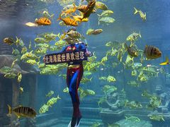 -北海海底世界