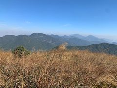 -清溪森林公园