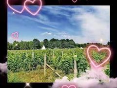 -安德鲁户外烧烤帐篷营地(马泉营店)