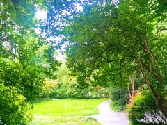 -扬州大运河文化旅游度假区·盆景园