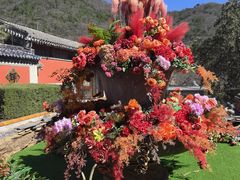 -潭柘寺景区