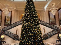 -大堂吧·下午茶·特调鸡尾酒(大连一方城堡豪华精选酒店)