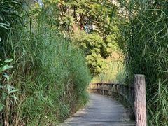 -成都市活水公园