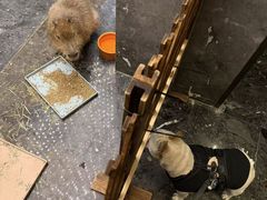 -苏州阳澄半岛英迪格酒店