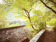 -北京上方山国家森林公园