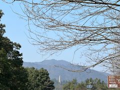 -韶山毛泽东图书馆
