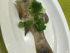 -世博源公馆·本帮融合菜·主题包厢·江景餐厅
