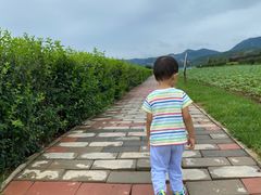 -君乐宝优致牧场