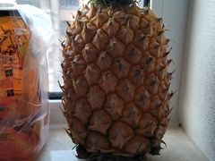 -张一锅筋头巴脑(白塔堡店)