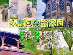 -永定河休闲森林公园