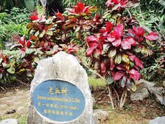 -中国科学院西双版纳热带植物园