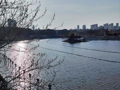 -葛仙湖公园