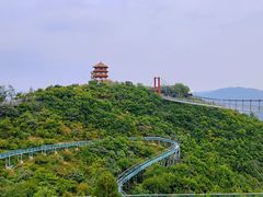 -铜川市金锁关石林