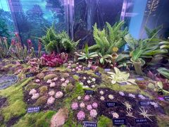 -中国科学院西双版纳热带植物园