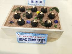 -顺德职业技术大学