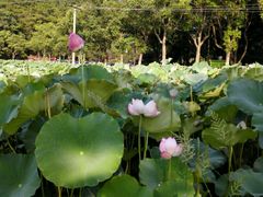 -韶山毛泽东同志故居