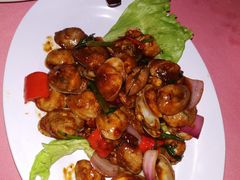 -旗鱼海番村(Orang Asli)