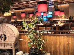 -老阿爸鲜鱼土菜(独墅湖店)