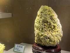 -北京中医药大学-中医药博物馆