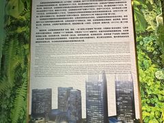 -野象谷景区
