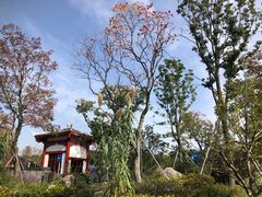 -成都市文化公园