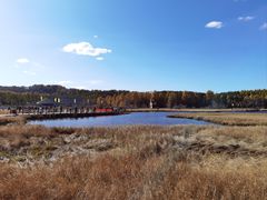 -塞罕坝国家级自然保护区