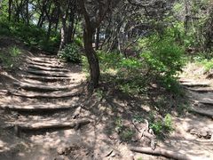 -高尔山公园
