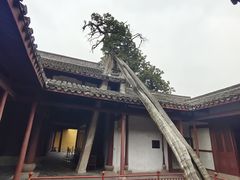 -太平天国侍王府