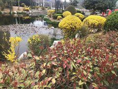 -丁家河公园