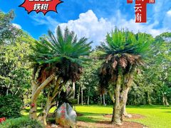 -中国科学院西双版纳热带植物园