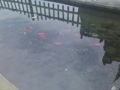 android_upload_pic-什邡罗汉寺