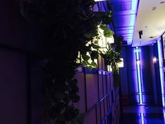 -音乐派KTV(银泰城店)