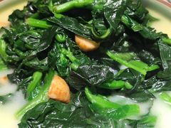 鸡汁菜苋-姜君·千岛湖鱼头馆(浦东大道店)