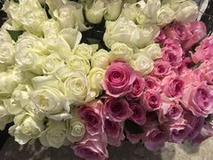 -半天妖烤鱼(丰科万达店)