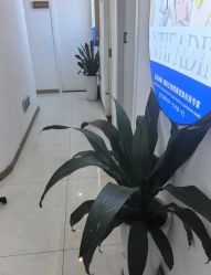 -普睿媞产后直营连锁(天鹅湖万达店)