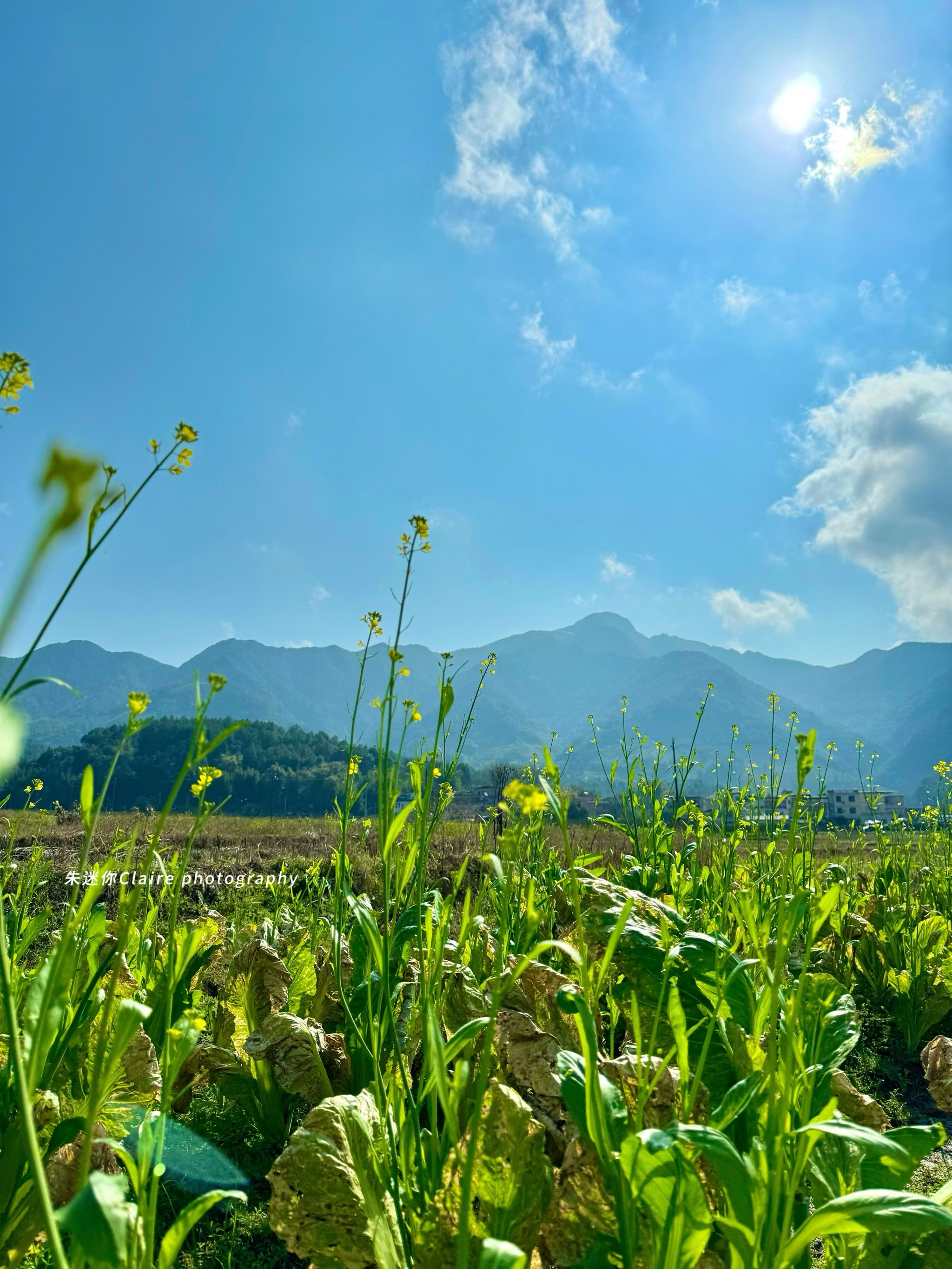 从化桂峰村图片