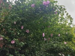 -大连植物园