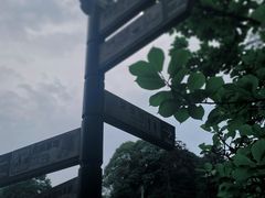 -碧峰峡风景区