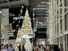 -樟宜机场免税店