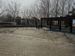 -大兴滨河森林公园