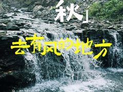 -凤凰山国家森林公园