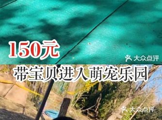 150元带宝贝进入萌宠乐园
