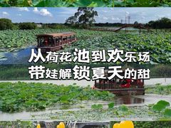-江门古劳水乡旅游区
